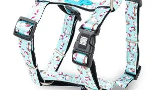 MAX & MOLLY Unicorn, ham prindere dubla(piept&spate) caini, poliester, bleu, catarama trident, S(43-53  x 1.5cm)