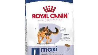 Royal Canin Maxi Adult hrana uscata caine 3kg