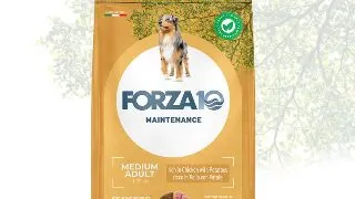 FORZA10 Maintenance Medium Adult, M, Pui si Cartofi, hrana uscata caini, 12kg