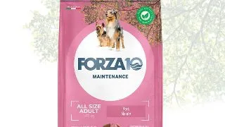 FORZA10 Maintenance, XS-XL, Porc, hrana uscata caini, 12kg