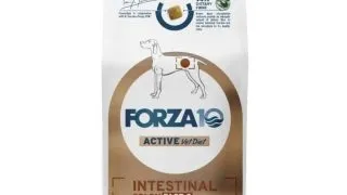 FORZA10 Active VetDiet Intestinal Colon Fase 2, XS-XL, Peste, dieta veterinara, hrana uscata monoproteica caini, sistem digestiv, 10kg