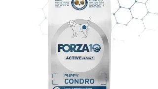 FORZA10 Active VetDiet Chondro Puppy, XS-XL, Peste, dieta veterinara, hrana uscata monoproteica caini junior, sistem articular, 10kg