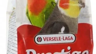 Hrana pentru Pasari Versele Laga Prestige Big Parakeets 1kg
