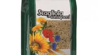 Iarba canarilor (Scagliola Glant) Padovan, 1kg