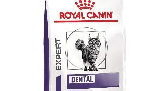 ROYAL CANIN VD Dental, dieta veterinara, hrana uscata pisici, sensibilitati dentare, 1.5kg