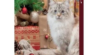 TRIXIE Christmas Advent Calendar, cutie recompense pisici, 390g