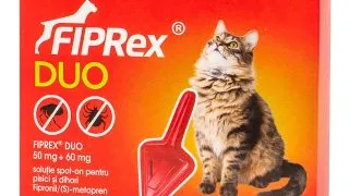 FIPREX Duo, deparazitare externa pisici, pipeta repelenta, 1buc