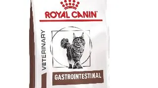 ROYAL CANIN VD Gastrointestinal, dieta veterinara, hrana uscata pisici, sistem digestiv, 2kg