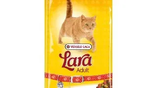 VERSELE LAGA Lara, Miel, hrana uscata pisici, 10kg