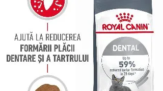 ROYAL CANIN Dental Care Adult, hrana uscata pisici, reducerea formarii tartrului, 400g