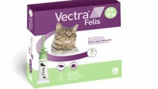Vectra Felis, spot-on, solutie antiparazitara, pisici, 3 pipete