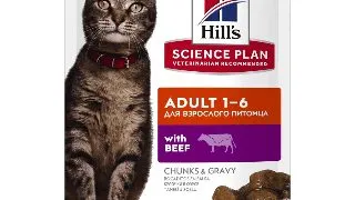 HILL'S SCIENCE PLAN, Vita, plic hrana umeda pisici, (in sos), 85g