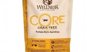 Wellness Core Dry Sterilised cu Pui si Curcan, 300 g