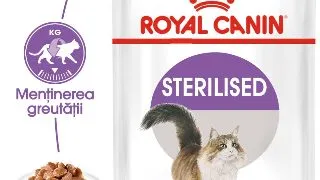 ROYAL CANIN Sterilised Adult, hrana umeda pisici sterilizate, (in sos), 85g