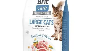 BRIT Care Large Cats Power & Vitality L-XL, Rata si Pui, hrana uscata fara cereale pisici, 2kg