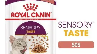 ROYAL CANIN Sensory Taste hrana umeda pisici stimularea gustului (in sos), 85g