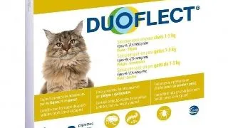 DUOFLECT, spot-on, solutie antiparazitara, pisici 0.5-5kg, 3 pipete