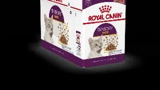 ROYAL CANIN Sensory Taste hrana umeda pisici stimularea gustului (in sos), bax, 85g x 12buc
