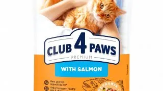 CLUB 4 PAWS Premium, Somon, hrana uscata pisici, 300g