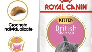 ROYAL CANIN British Shorthair Kitten, hrana uscata pisici junior, 2kg