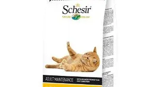 Schesir Cat Adult Maintenance Pui 400 g