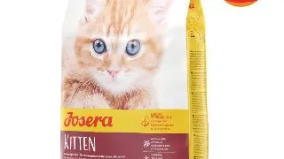 JOSERA Kitten, Somon, hrana uscata pisici junior, 10kg