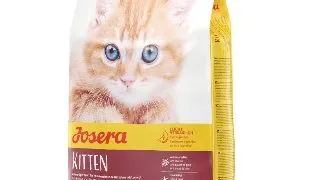 JOSERA Kitten, Somon, hrana uscata pisici junior, 400g