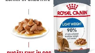 ROYAL CANIN Light Weight Care Adult, hrana umeda pisici, limitarea cresterii in greutate, (in sos), 85g