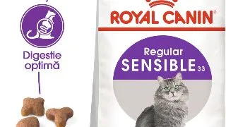 ROYAL CANIN Sensible Adult, hrana uscata pisici, digestie optima, 4kg