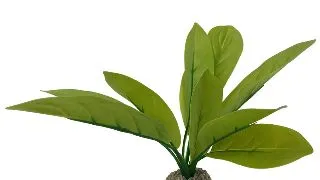 Planta Artificiala Echinodorus Verde 24cm