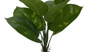 Planta Artificiala Anubias Verde 24cm