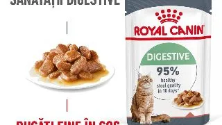 ROYAL CANIN Digest Sensitive Care Adult, hrana umeda pisici, confort digestiv, (in sos), 85g