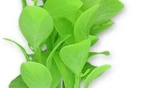 Planta Artificiala Pentru Acvariu, 10cm, Verde Cu Roz
