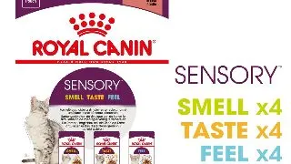 ROYAL CANIN Sensory hrana umeda pisici stimularea simturilor (in sos), bax, 85g x 12buc
