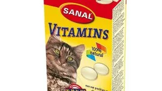 Sanal Cat Premium 85