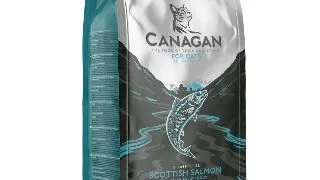 CANAGAN Scottish Salmon, Somon, hrana uscata fara cereale pisici junior & adult, 375g