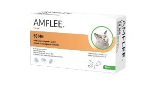 AMFLEE Cat, spot-on, solutie antiparazitara, pisici, 3 pipete