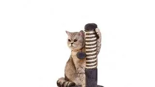 Sisal Mon Petit Ami Clive, 36.5 x 36.5 x H40 cm