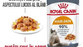 ROYAL CANIN Hair&Skin Care Adult hrana umeda pisici piele & blana (in aspic), 85g