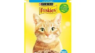PURINA Friskies Adult, Somon, plic hrana umeda pisici, (in sos), 85g
