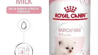 ROYAL CANIN BabyCat Milk, inlocuitor lapte matern pisici, 300g