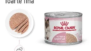 ROYAL CANIN Mother & BabyCat, hrana umeda pisici, mama si puiul, (mousse), 195g