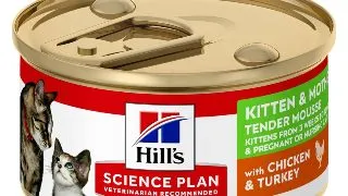 HILL'S Science Plan Kitten & Mother, Pui si Curcan, hrana umeda pisici junior, (mousse), 85g