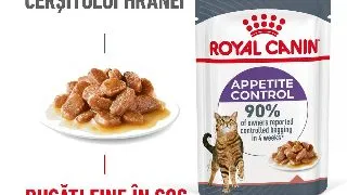 ROYAL CANIN Appetite Control Care Adult hrana umeda pisici reglarea apetitului (in sos), 85g