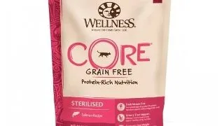 Hrana Uscata Wellness Core Dry Sterilised cu Somon, 300 g