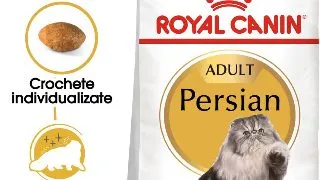 ROYAL CANIN Persian Adult, hrana uscata pisici, 10kg