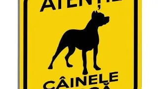 Pliant Pvc "Cainele Musca" 15 x 15 cm, Galben-Negru, (Tip 6)