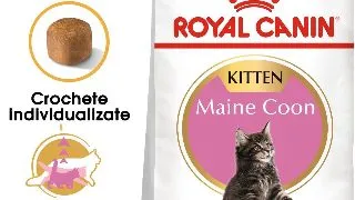 ROYAL CANIN Maine Coon Kitten, hrana uscata pisici junior, 2kg