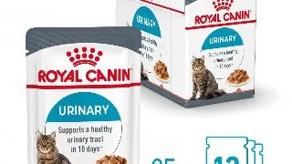 ROYAL CANIN Urinary Care Adult, hrana umeda pisici, sanatatea tractului urinar, (in sos), bax, 85g x 12buc