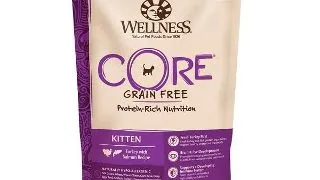 Hrana Uscata Wellness Core Kitten Dry Curcan si Somon, 300 g